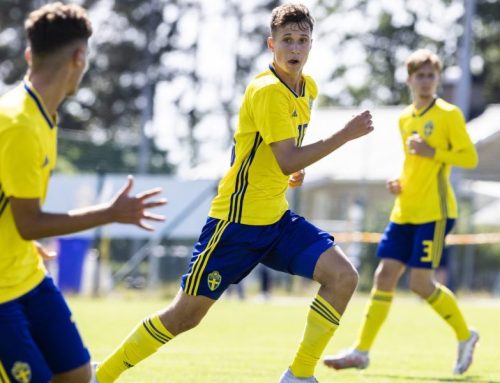 Bosnien & Hercegovina jagar svenske Busuladzic – aktuell för VM?