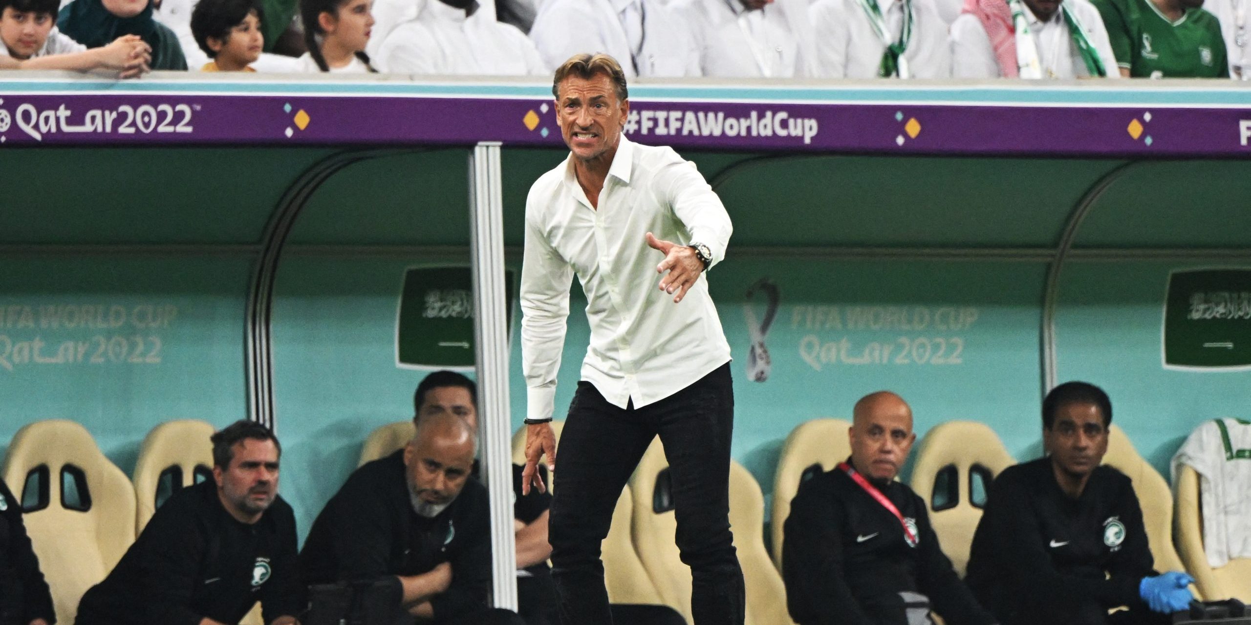 Hervé Renard