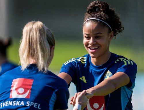 Damlandslagets trupp till VM-kvalet i juni