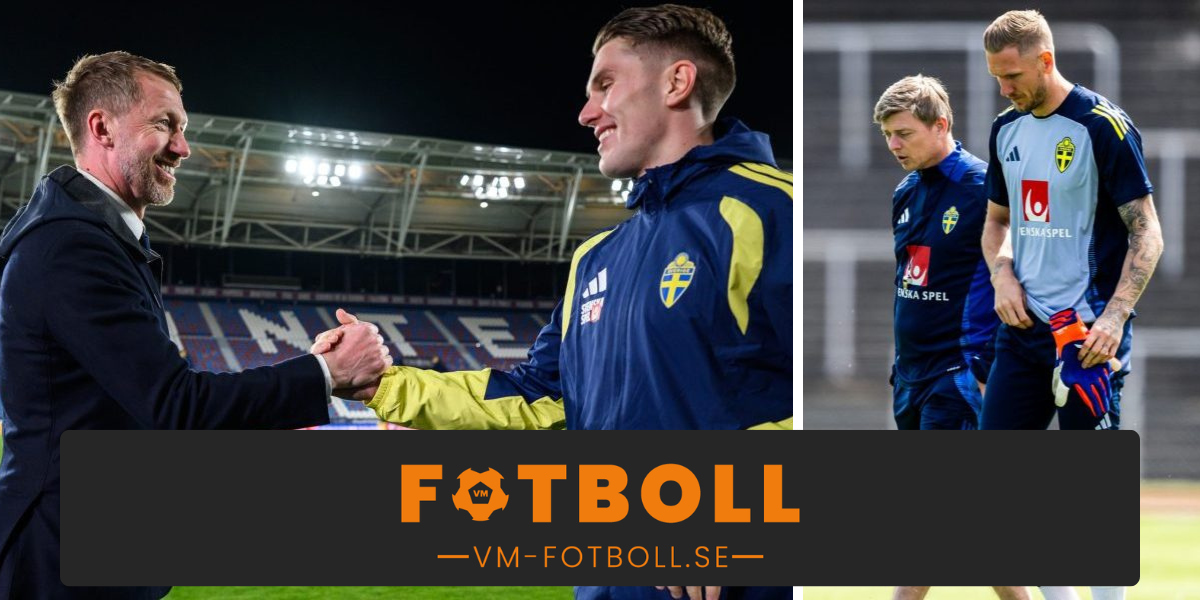 Sveriges väg till playoff final i VM playoff